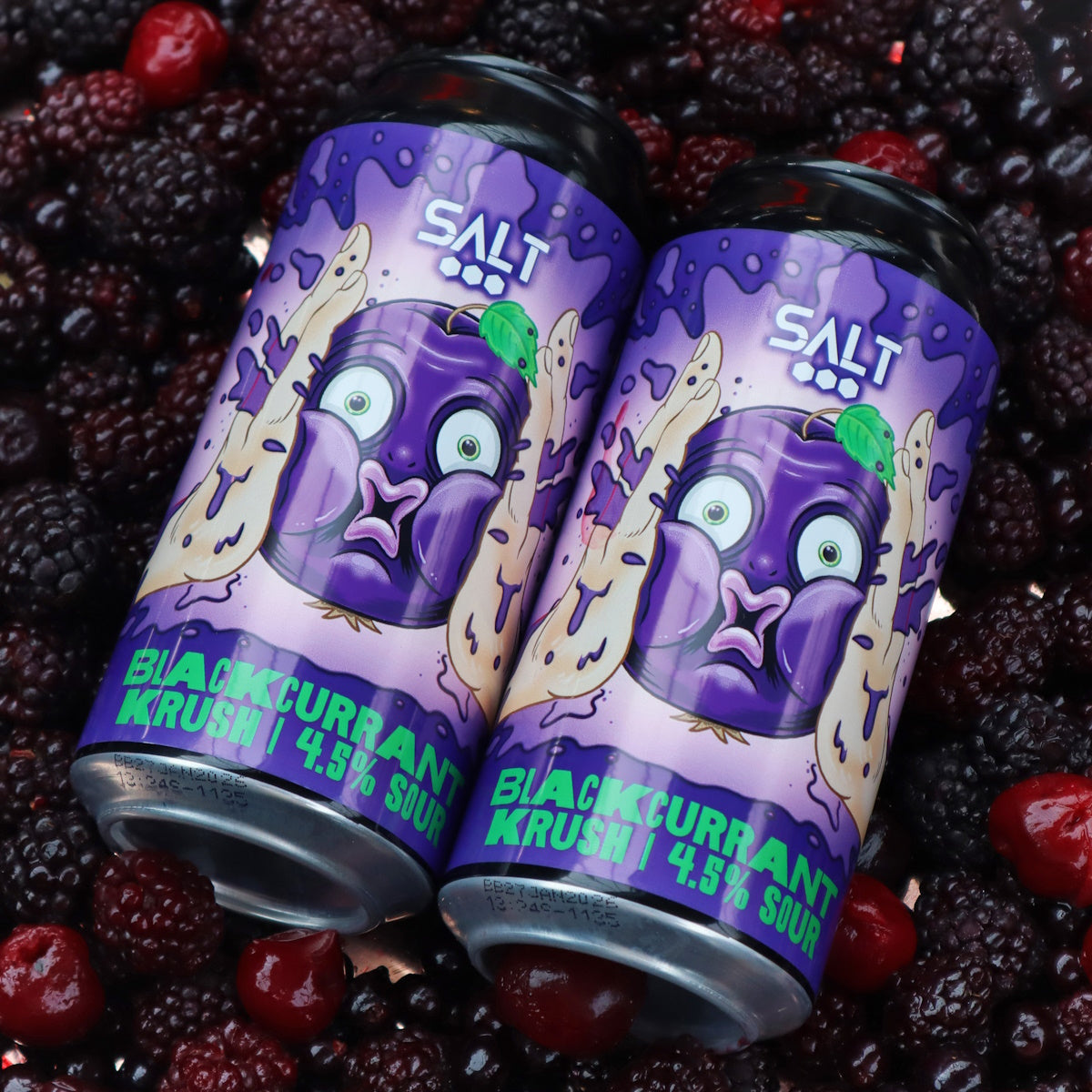 BLACKCURRANT KRUSH 4.5% SOUR